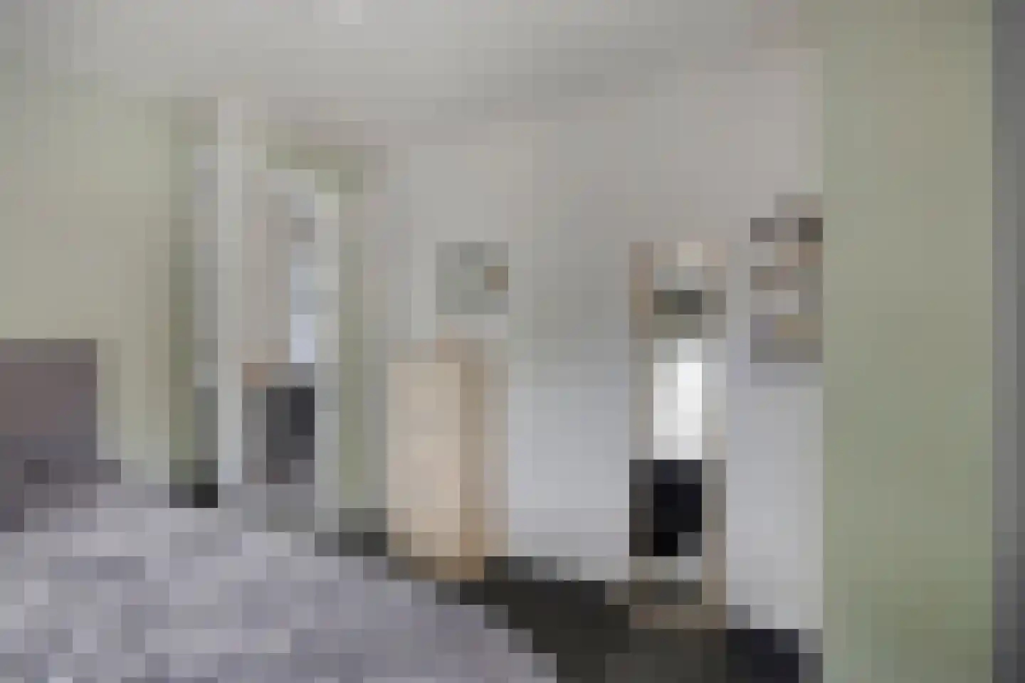 Haarsteegsestraat 51 A Haarsteeg thumbnail 37