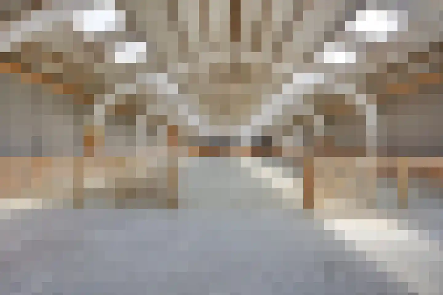 Haarsteegsestraat 51 A Haarsteeg thumbnail 4