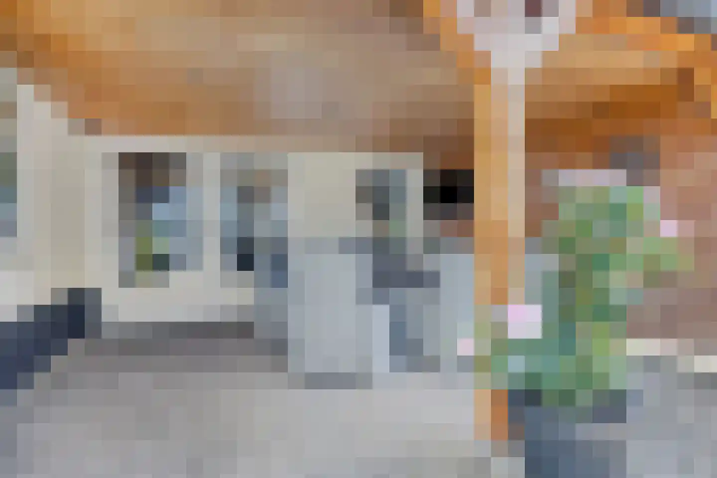 Haarsteegsestraat 51 A Haarsteeg thumbnail 44