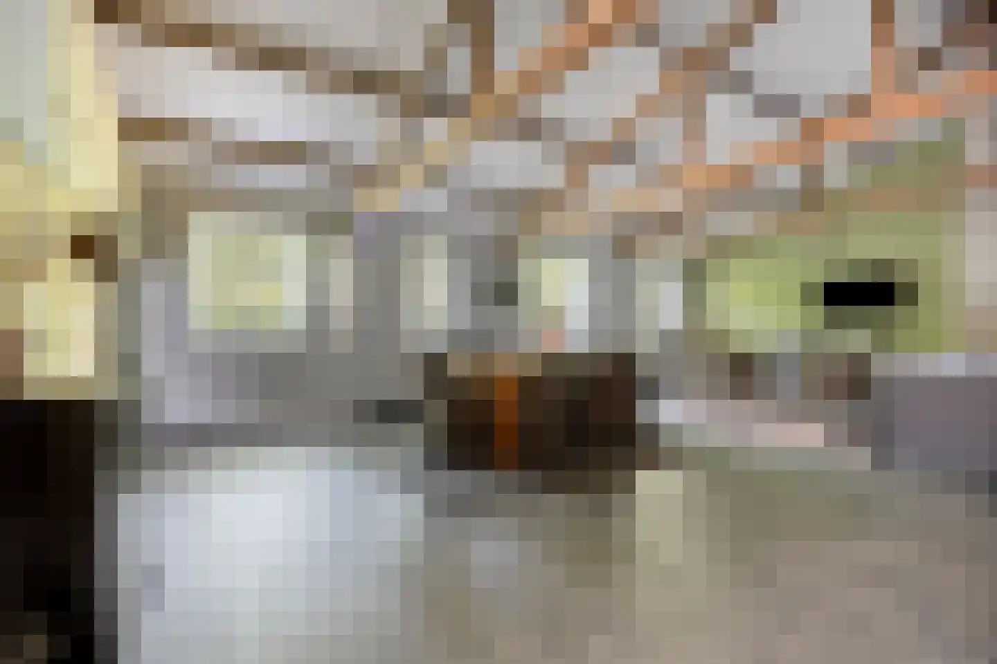 Haarsteegsestraat 51 A Haarsteeg thumbnail 45