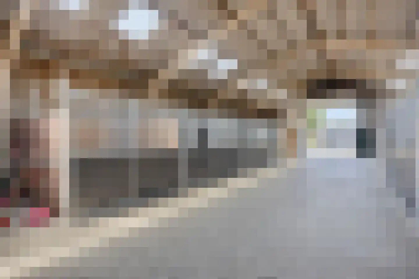 Haarsteegsestraat 51 A Haarsteeg thumbnail 58