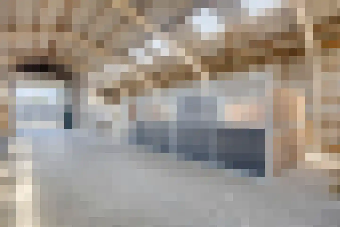 Haarsteegsestraat 51 A Haarsteeg thumbnail 59
