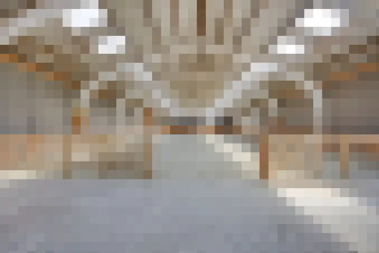 Haarsteegsestraat 51 A Haarsteeg thumbnail 61