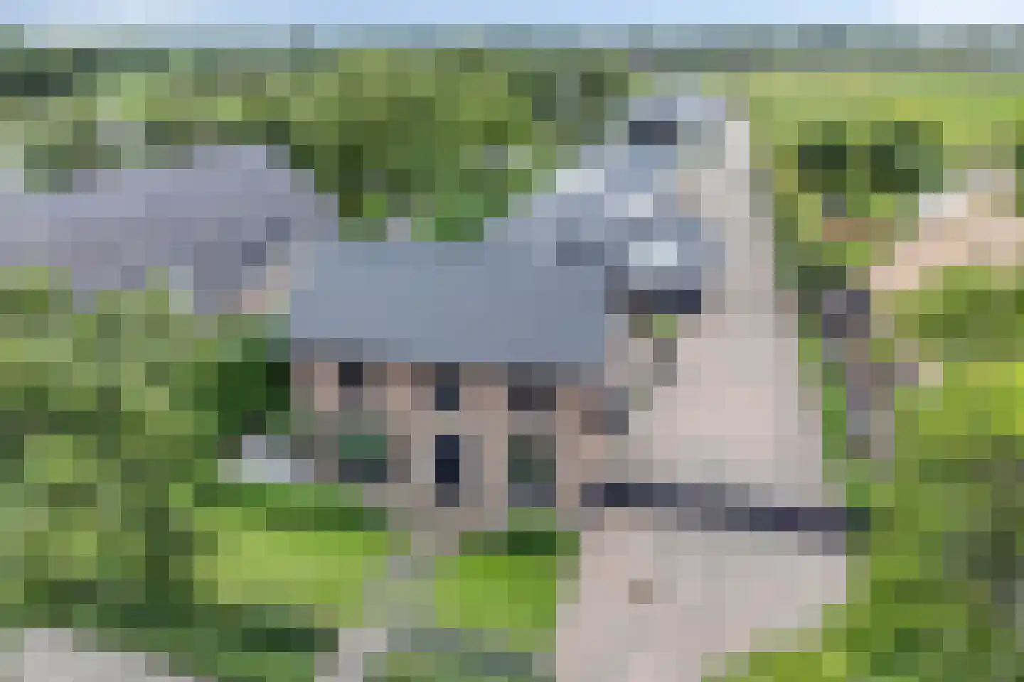 Haarsteegsestraat 51 A Haarsteeg thumbnail 68