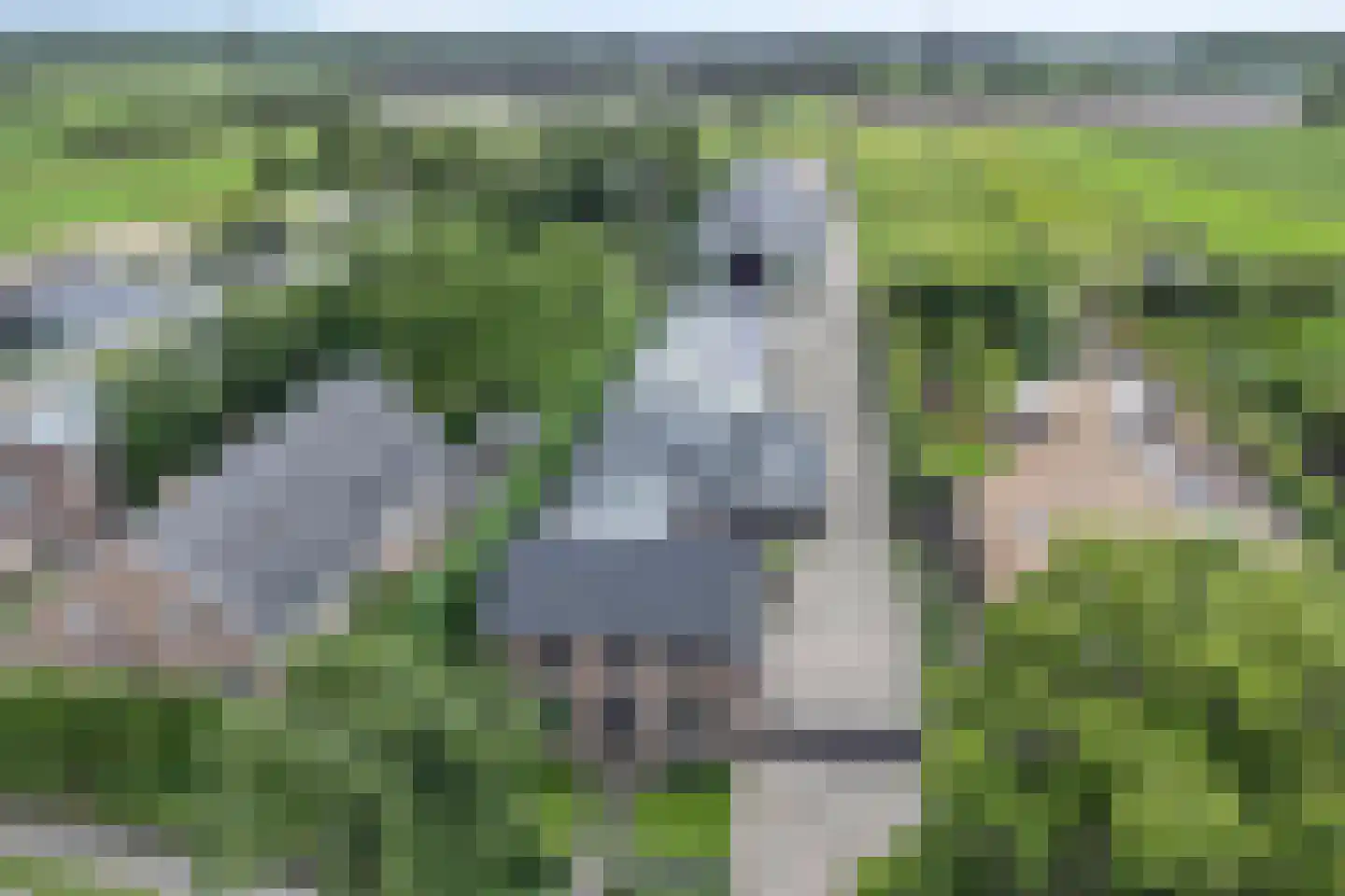 Haarsteegsestraat 51 A Haarsteeg thumbnail 69