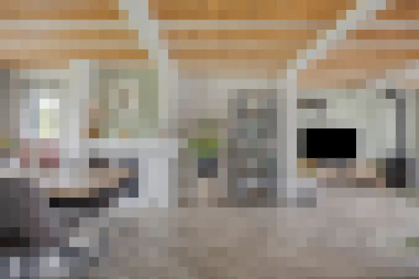 Haarsteegsestraat 51 A Haarsteeg thumbnail 7