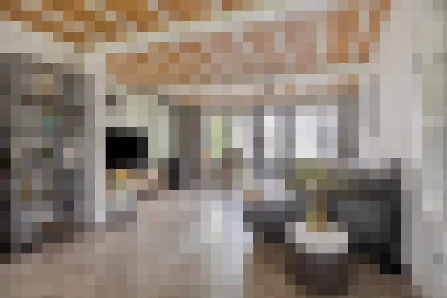 Haarsteegsestraat 51 A Haarsteeg thumbnail 8