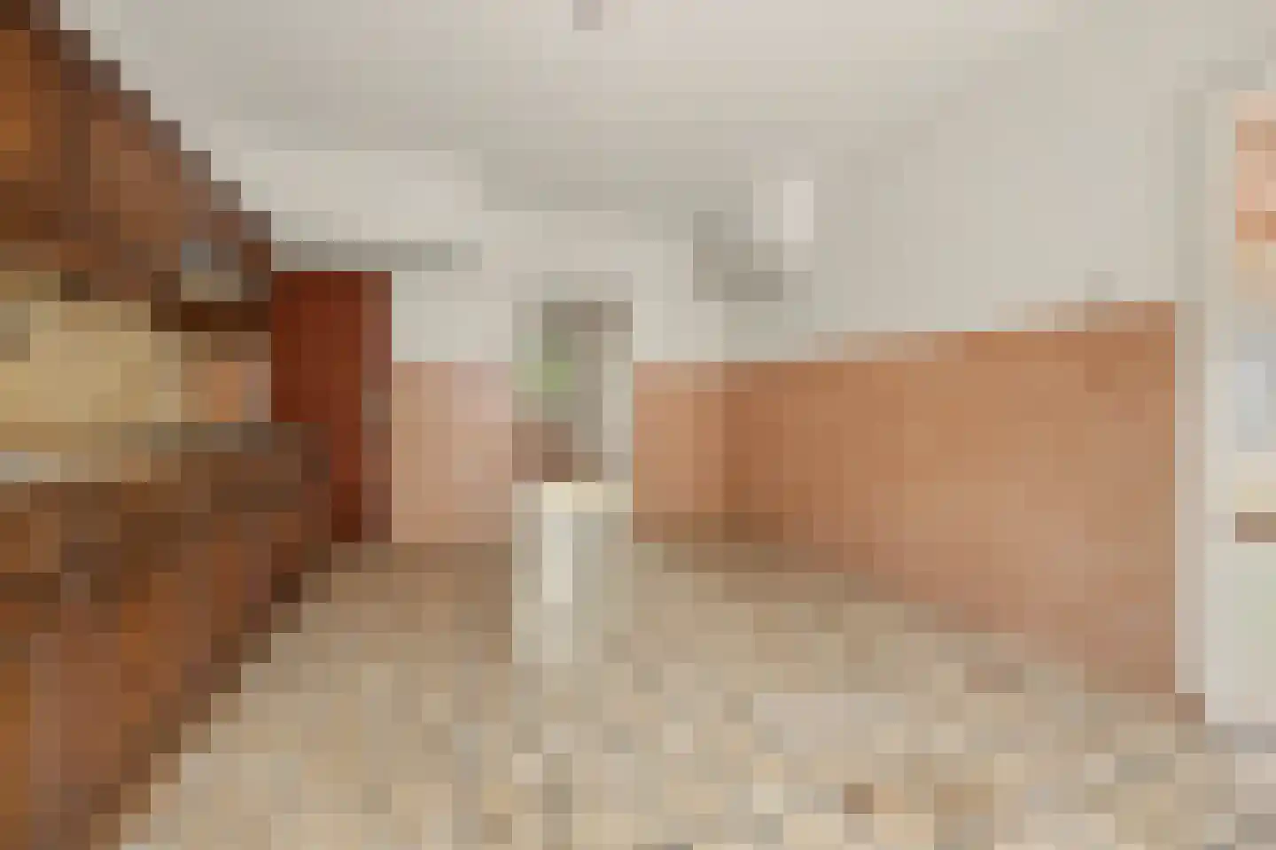 Haarsteegsestraat 69 Haarsteeg thumbnail 10