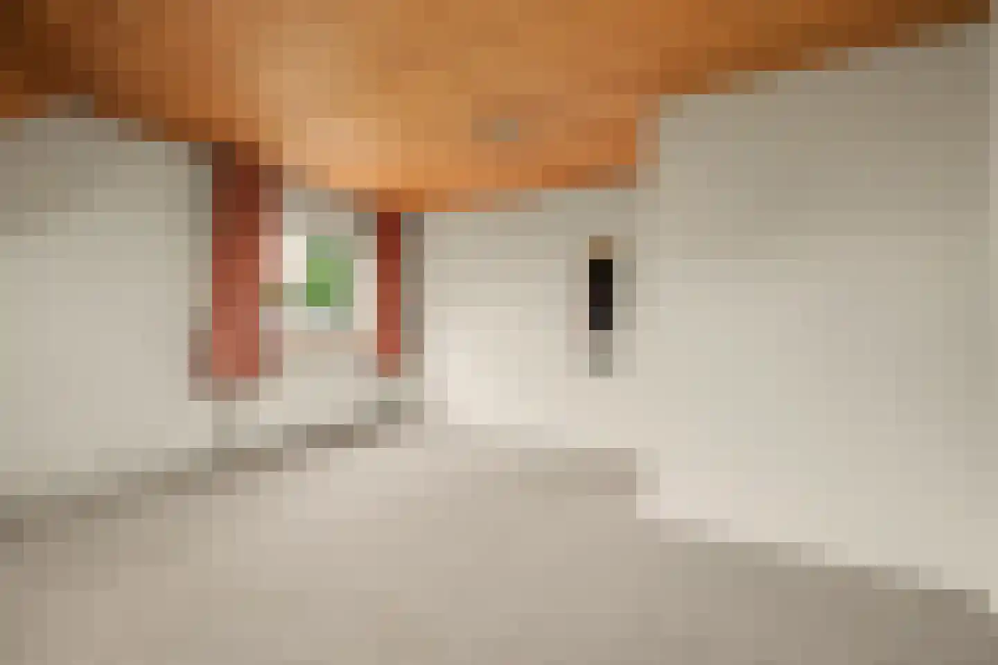 Haarsteegsestraat 69 Haarsteeg thumbnail 16