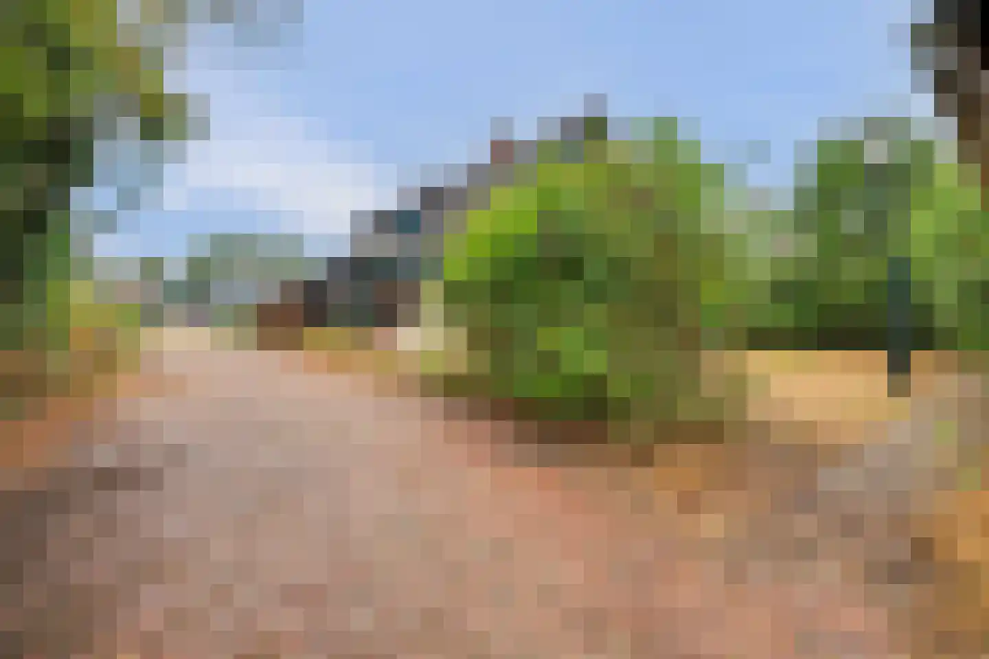 Haarsteegsestraat 69 Haarsteeg thumbnail 26