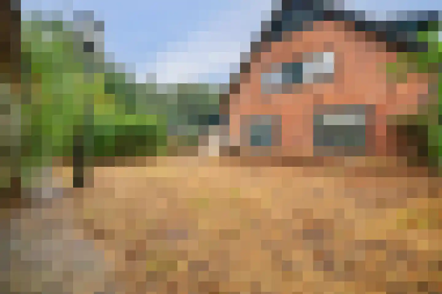 Haarsteegsestraat 69 Haarsteeg thumbnail 28