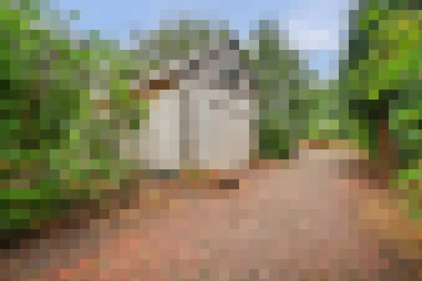 Haarsteegsestraat 69 Haarsteeg thumbnail 29