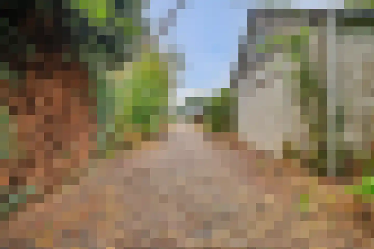 Haarsteegsestraat 69 Haarsteeg thumbnail 33