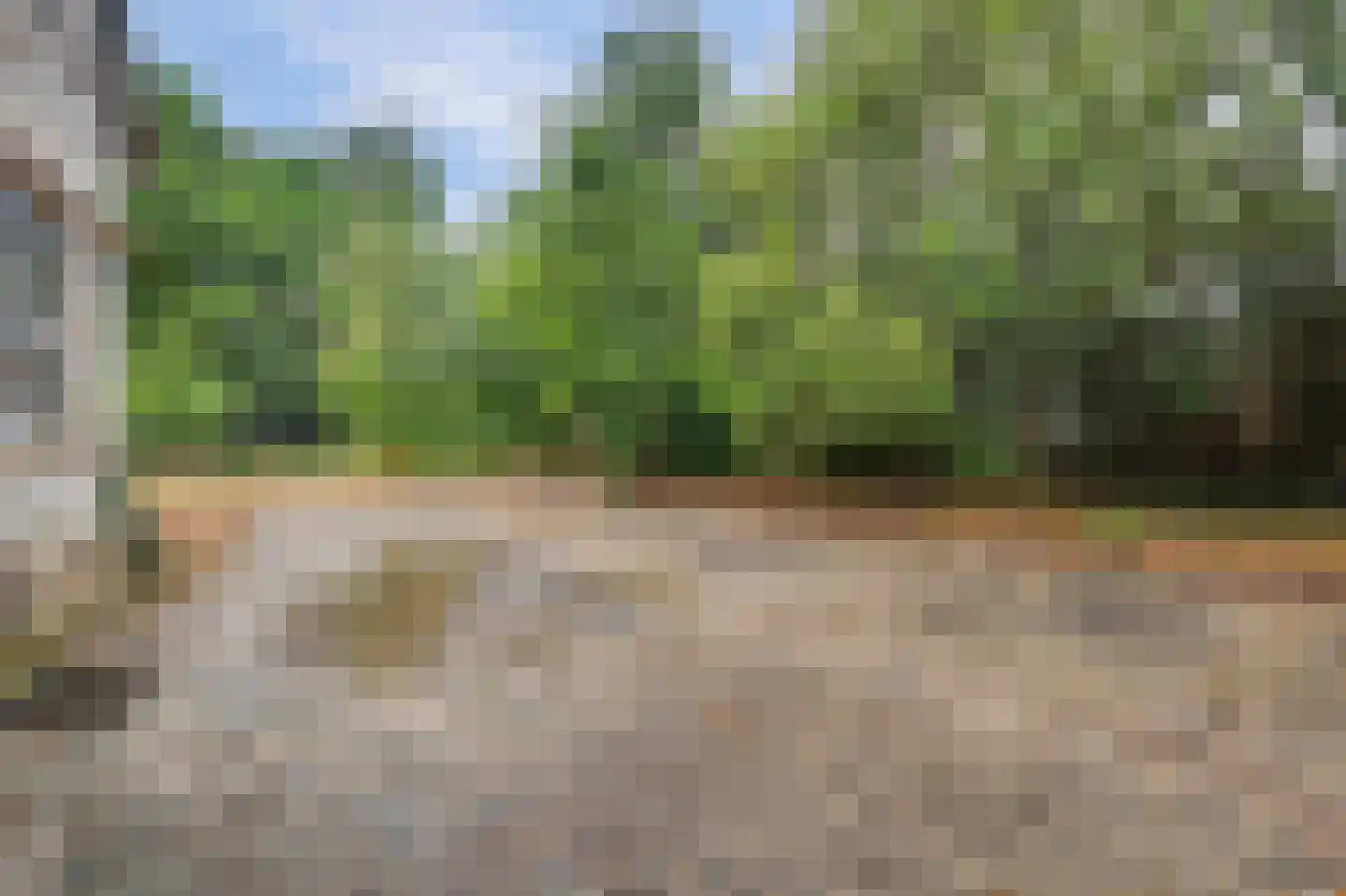 Haarsteegsestraat 69 Haarsteeg thumbnail 36