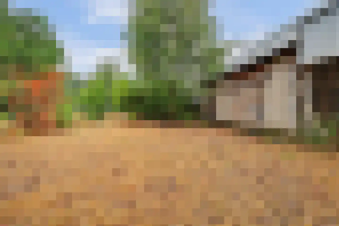 Haarsteegsestraat 69 Haarsteeg thumbnail 38