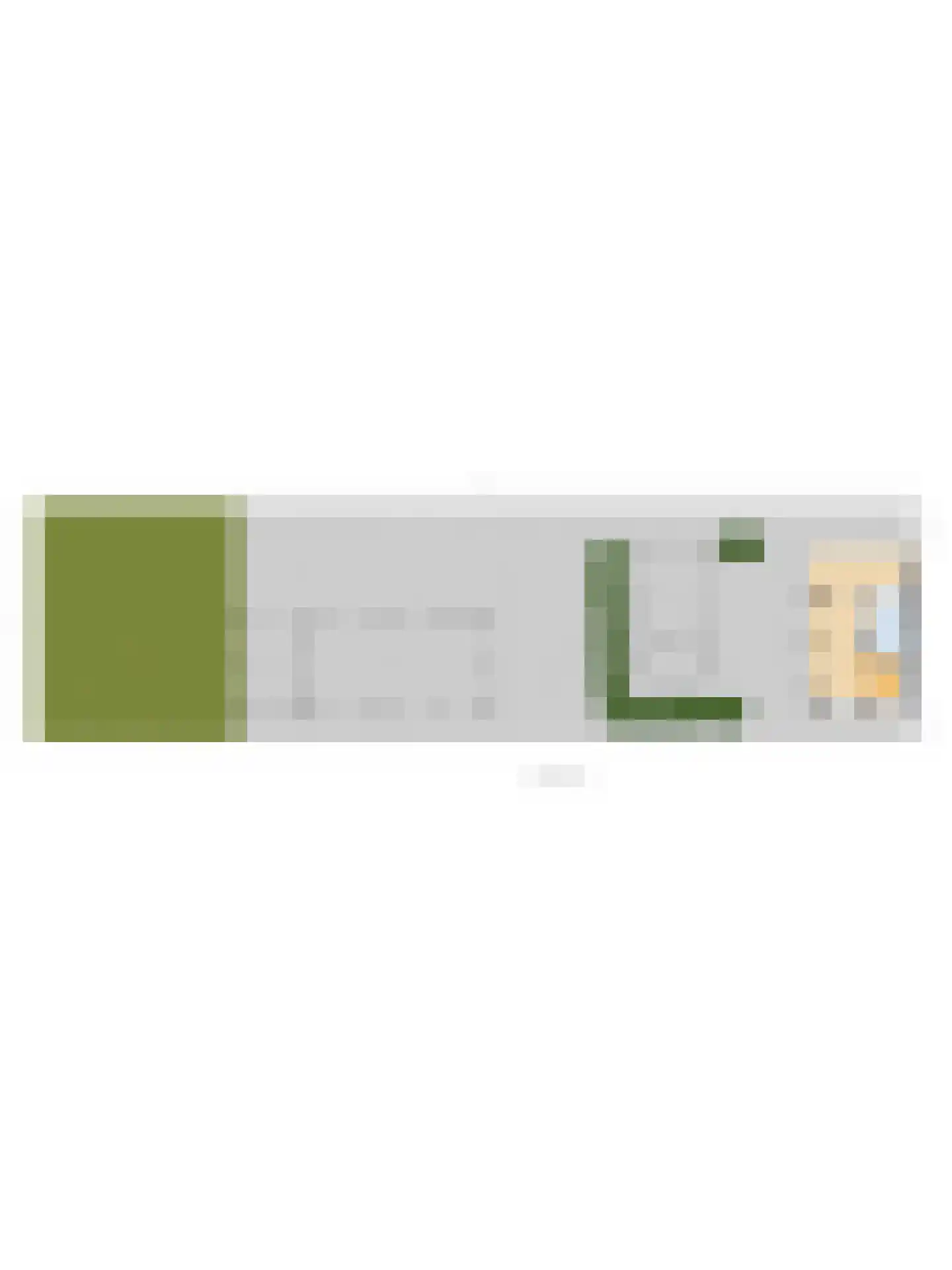 Haarsteegsestraat 69 Haarsteeg thumbnail 42