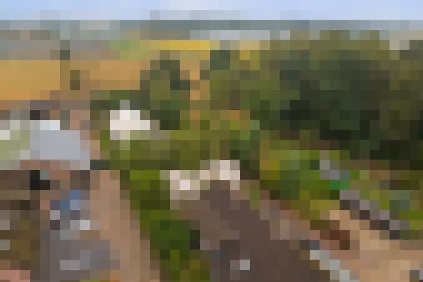 Haarsteegsestraat 69 Haarsteeg thumbnail 43