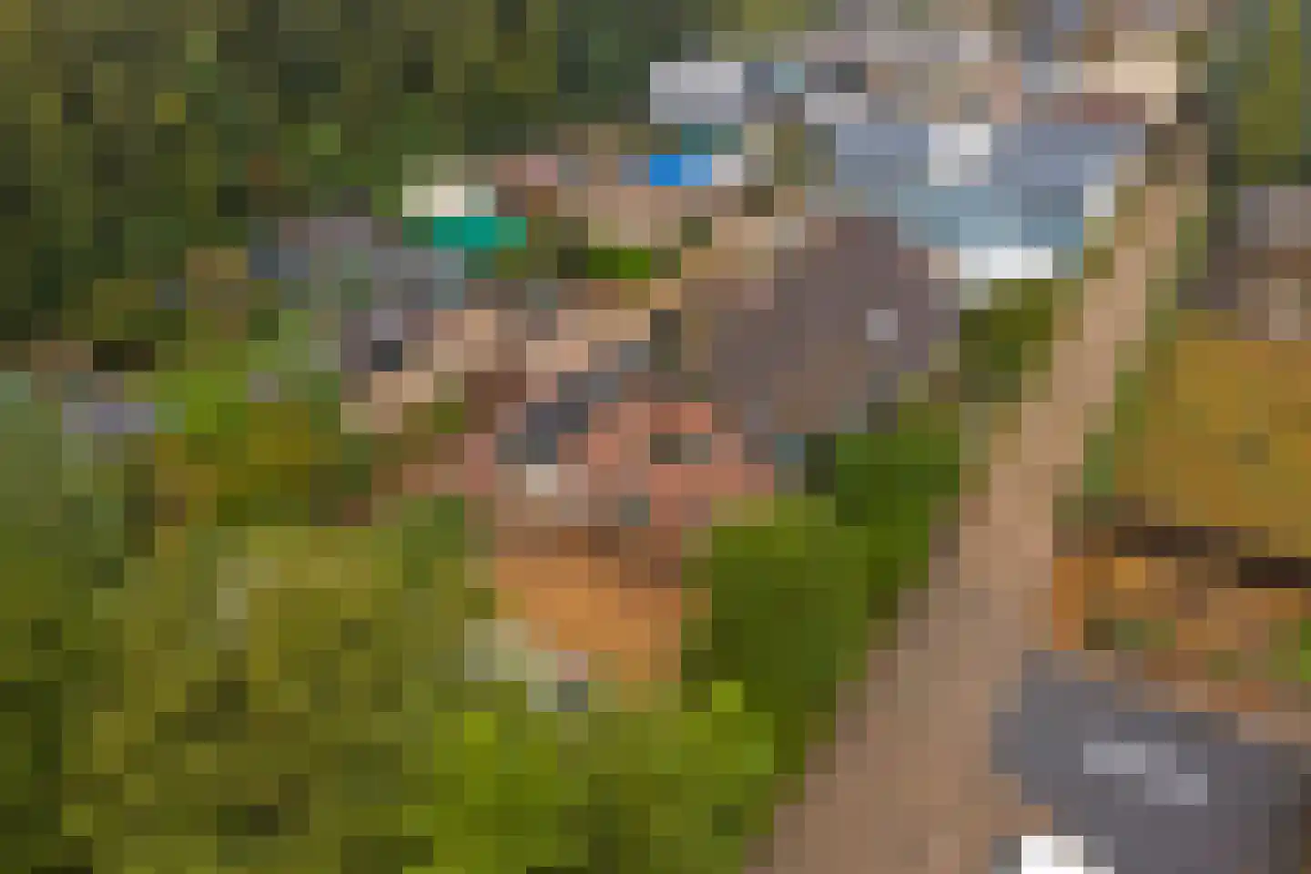 Haarsteegsestraat 69 Haarsteeg thumbnail 45