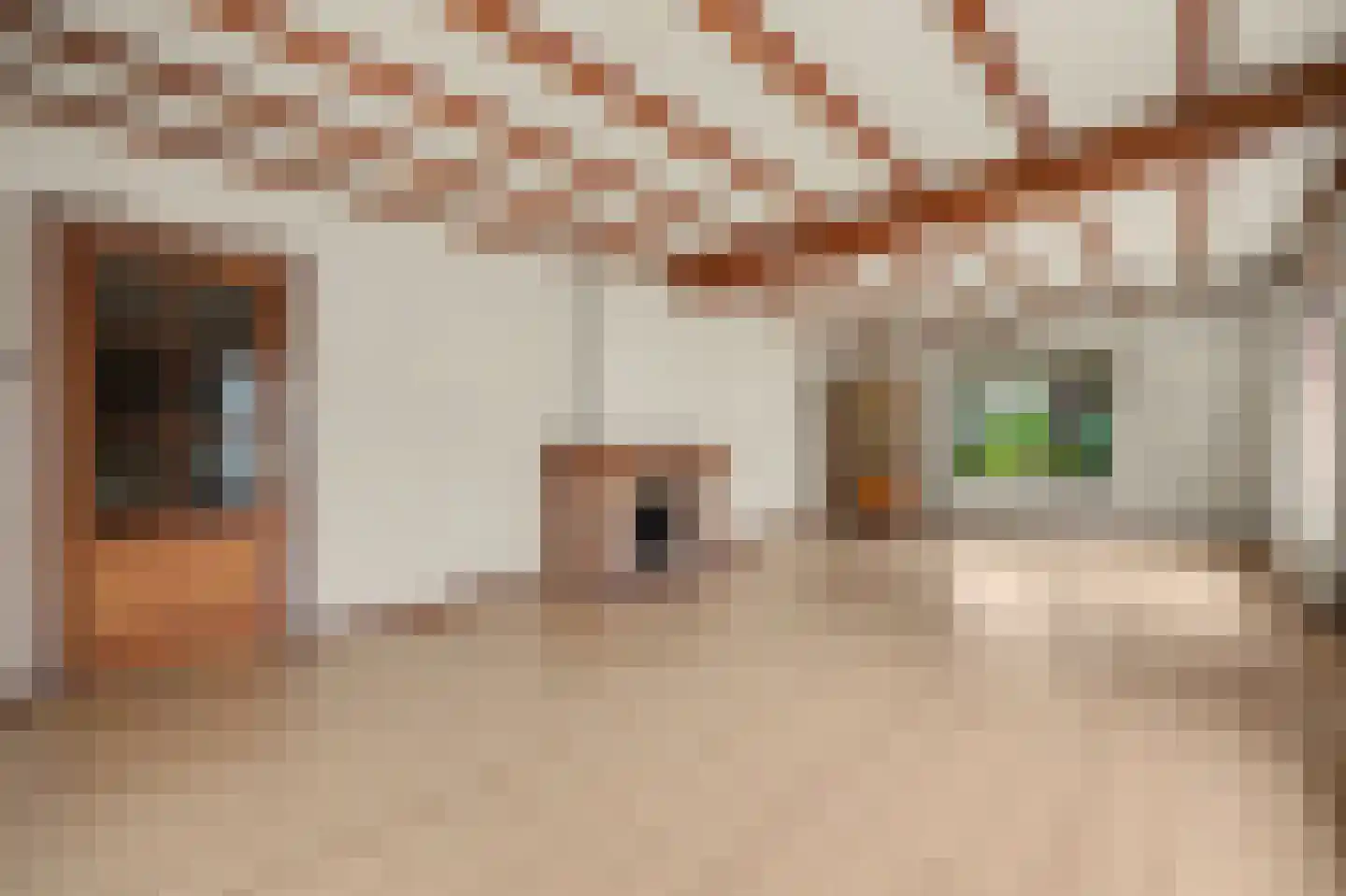 Haarsteegsestraat 69 Haarsteeg thumbnail 8