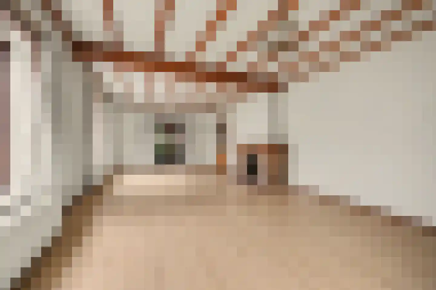 Haarsteegsestraat 69 Haarsteeg thumbnail 9