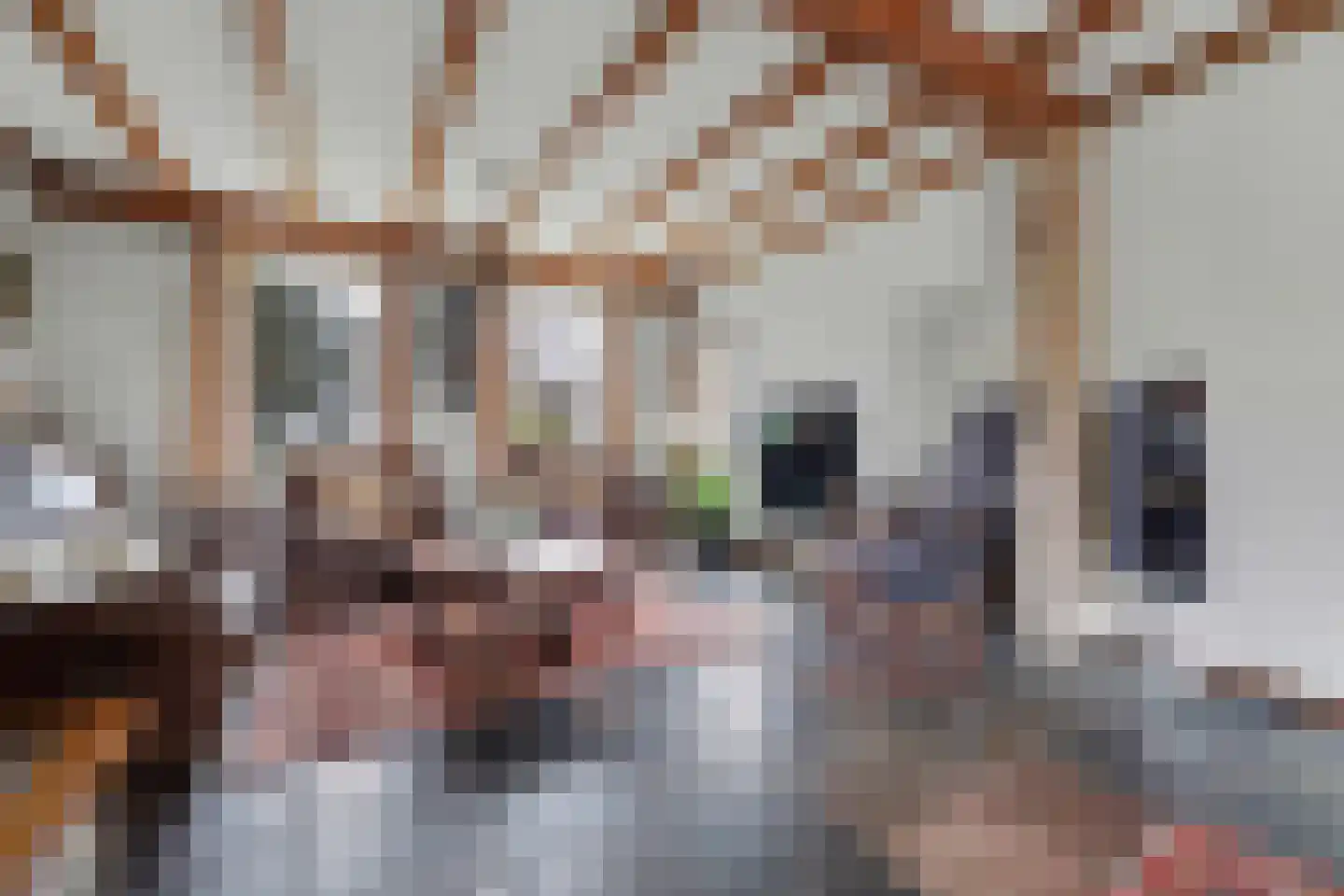 Haarsteegsestraat 7 Haarsteeg thumbnail 10
