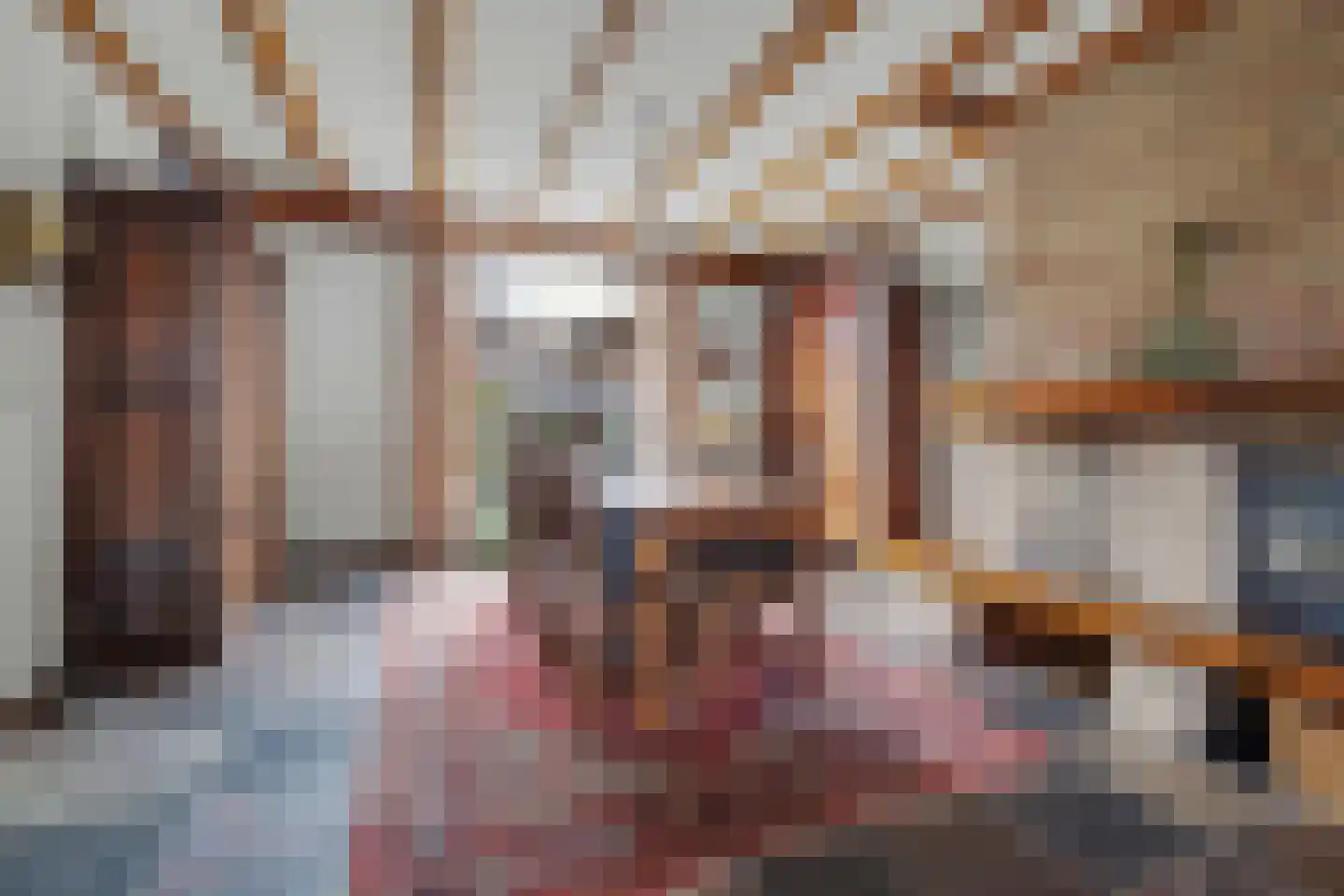 Haarsteegsestraat 7 Haarsteeg thumbnail 12