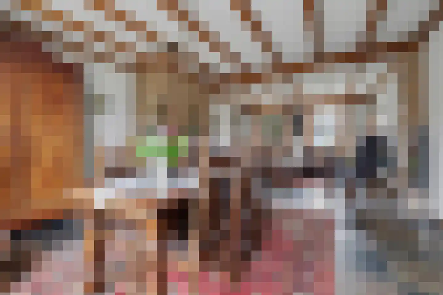 Haarsteegsestraat 7 Haarsteeg thumbnail 13