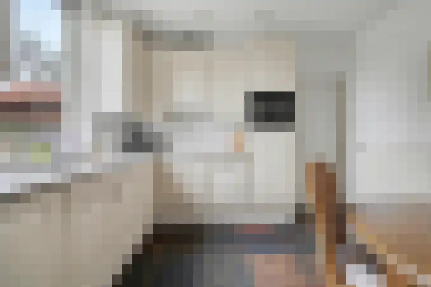 Haarsteegsestraat 7 Haarsteeg thumbnail 18