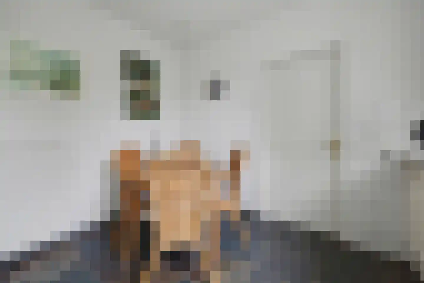 Haarsteegsestraat 7 Haarsteeg thumbnail 19