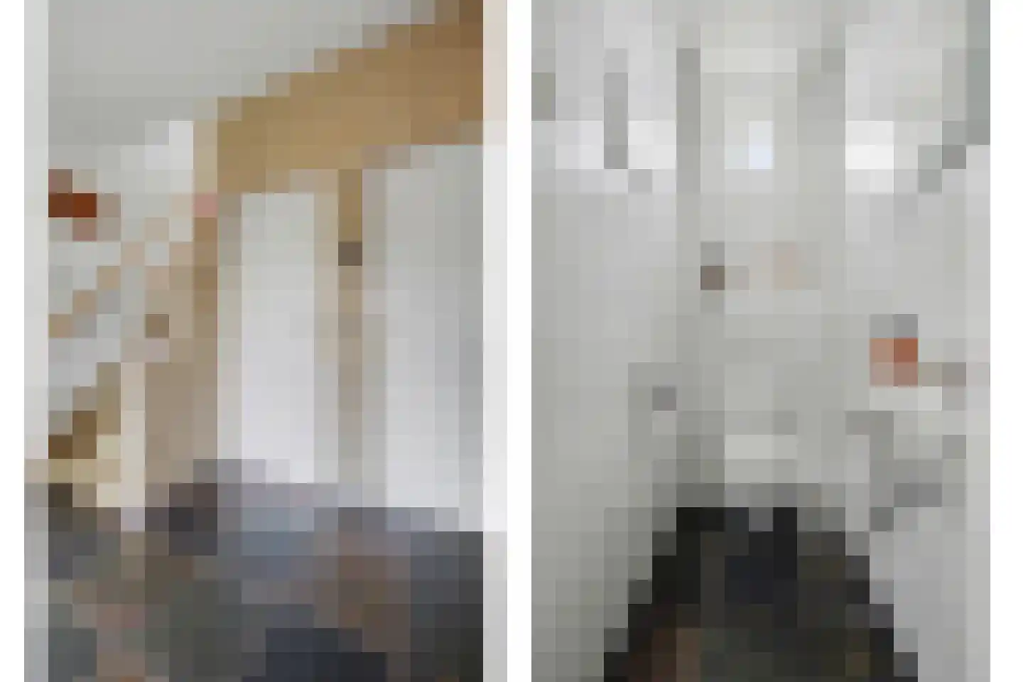 Haarsteegsestraat 7 Haarsteeg thumbnail 23