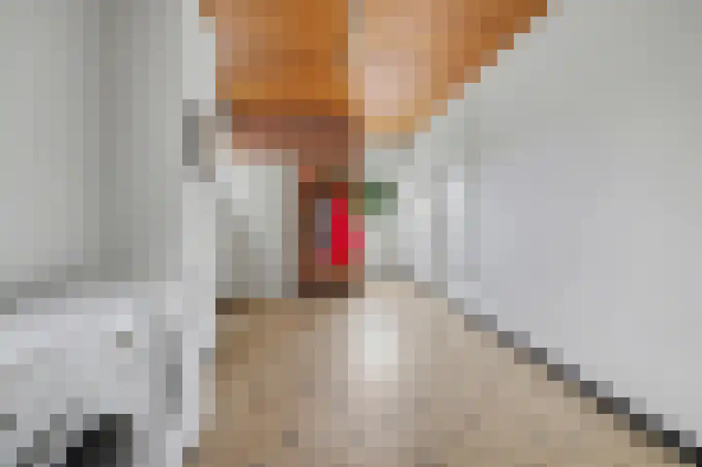 Haarsteegsestraat 7 Haarsteeg thumbnail 24