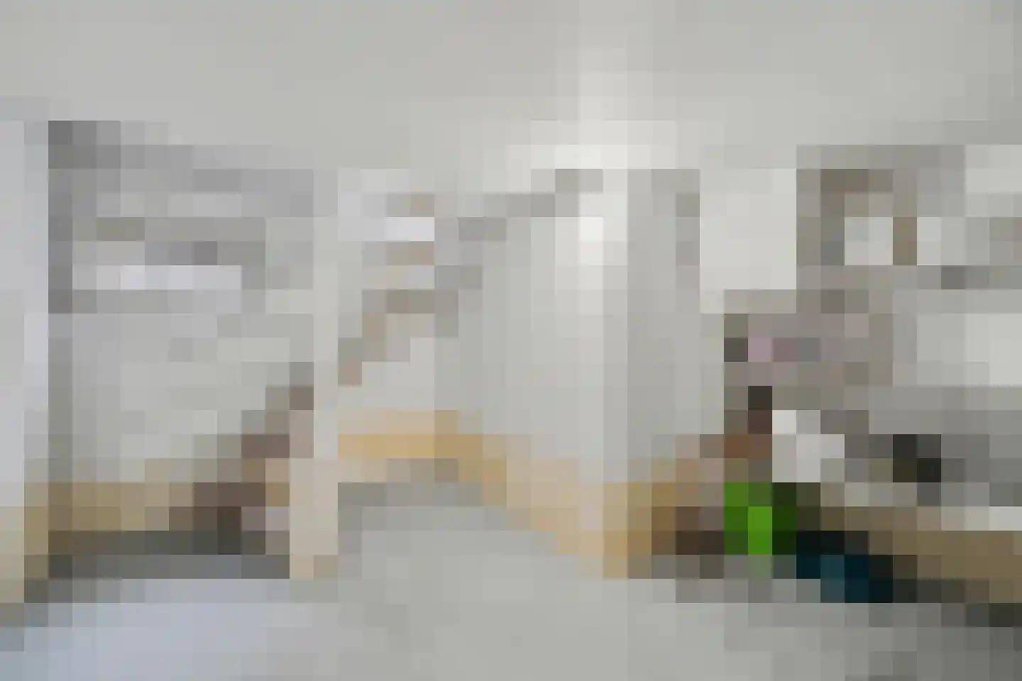 Haarsteegsestraat 7 Haarsteeg thumbnail 28