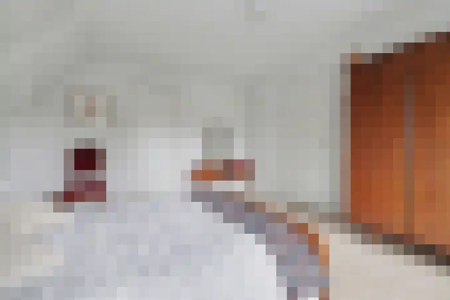 Haarsteegsestraat 7 Haarsteeg thumbnail 32