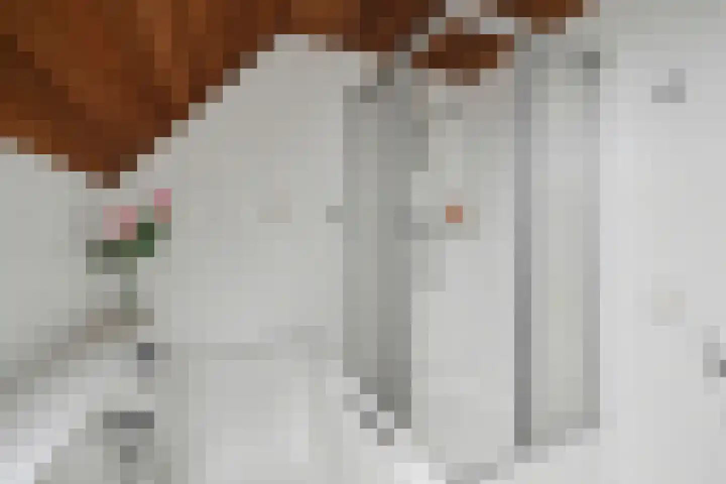 Haarsteegsestraat 7 Haarsteeg thumbnail 34