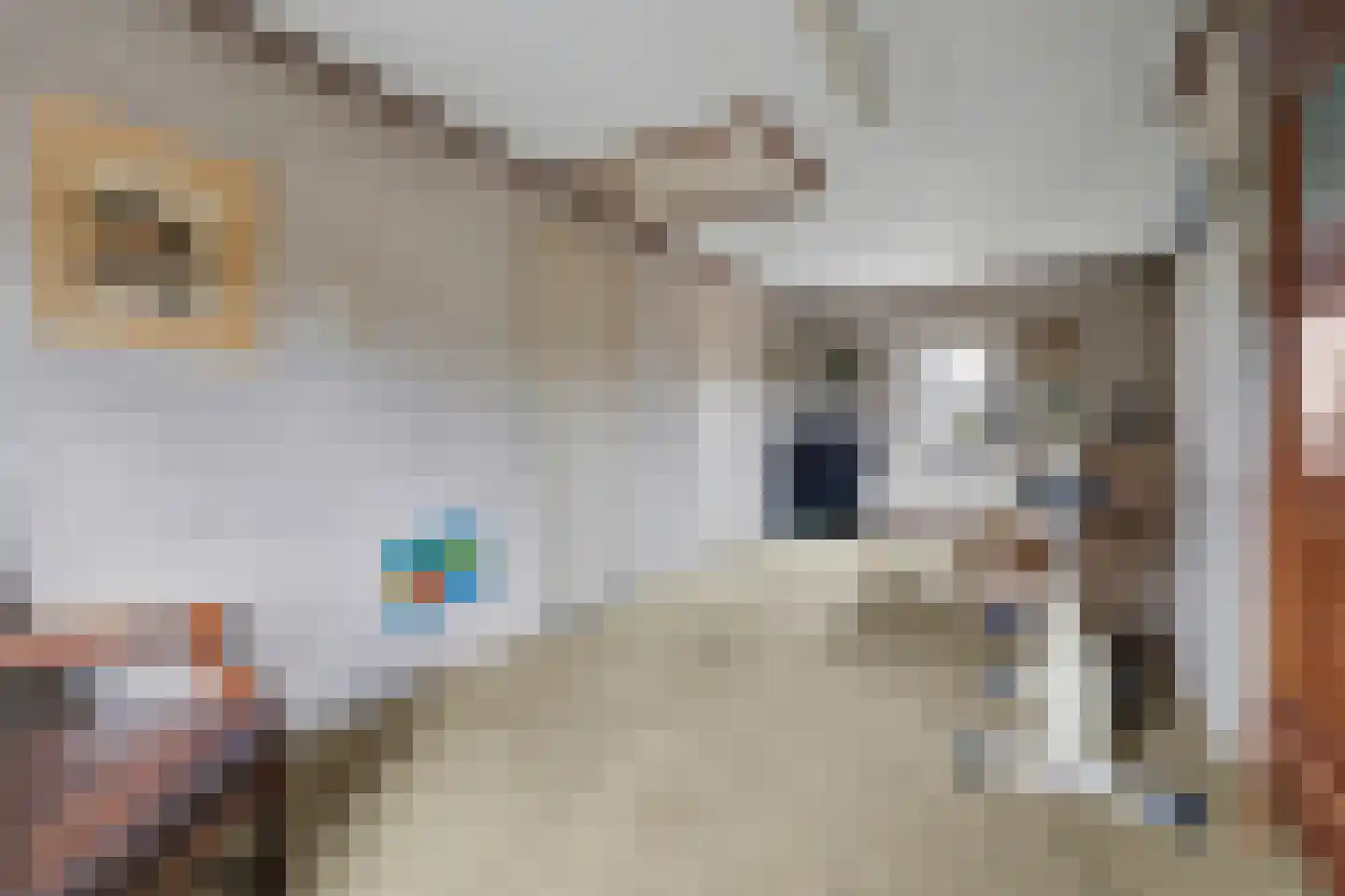 Haarsteegsestraat 7 Haarsteeg thumbnail 43