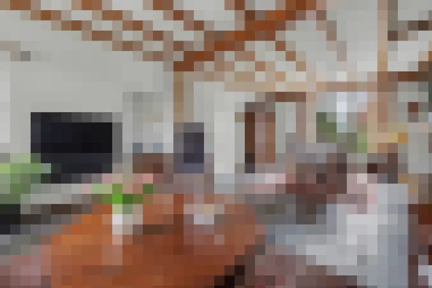 Haarsteegsestraat 7 Haarsteeg thumbnail 5