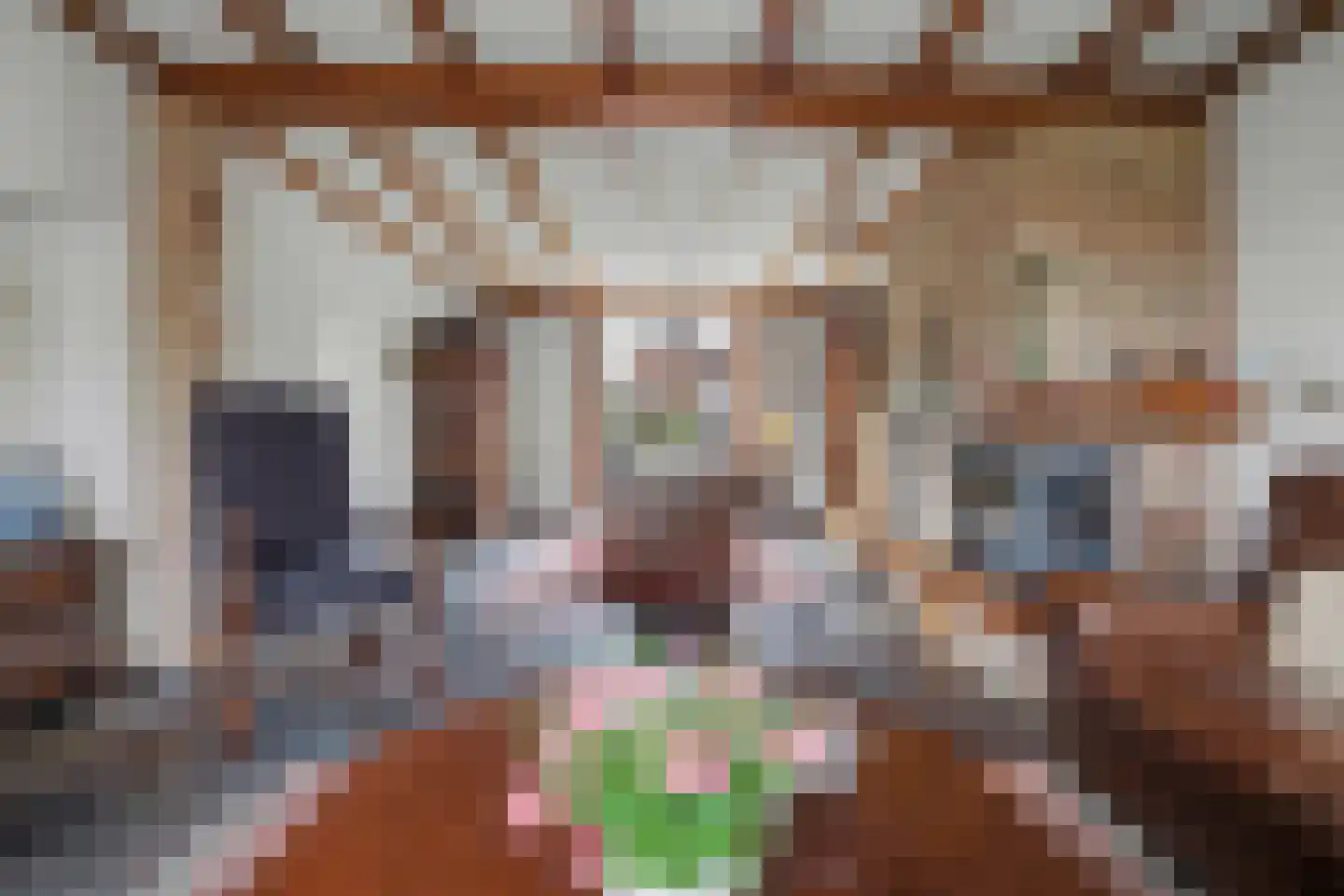 Haarsteegsestraat 7 Haarsteeg thumbnail 6