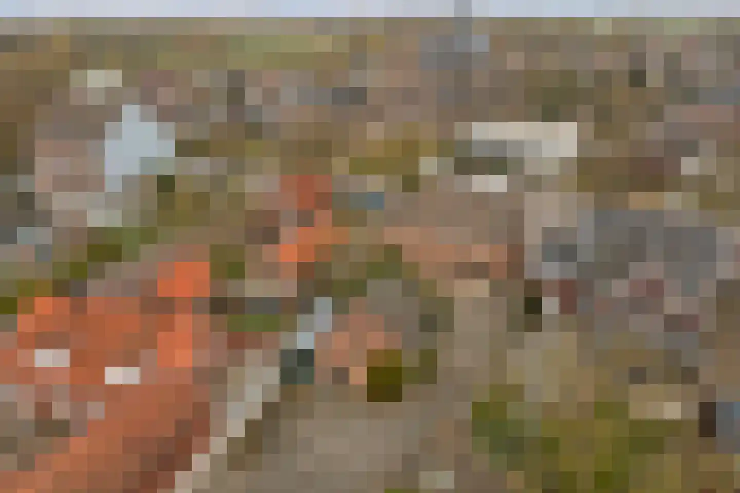 Haarsteegsestraat 7 Haarsteeg thumbnail 74