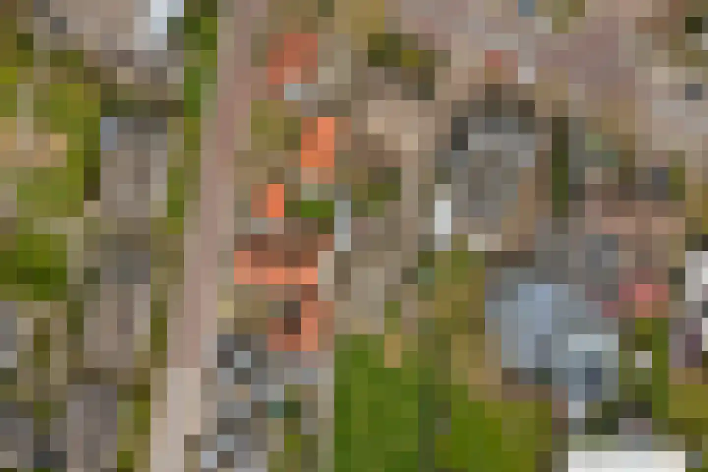 Haarsteegsestraat 7 Haarsteeg thumbnail 76