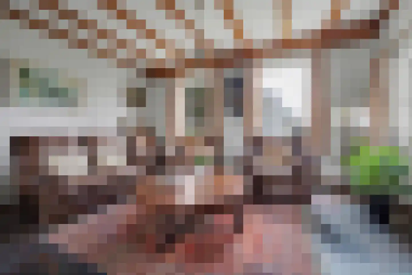 Haarsteegsestraat 7 Haarsteeg thumbnail 8