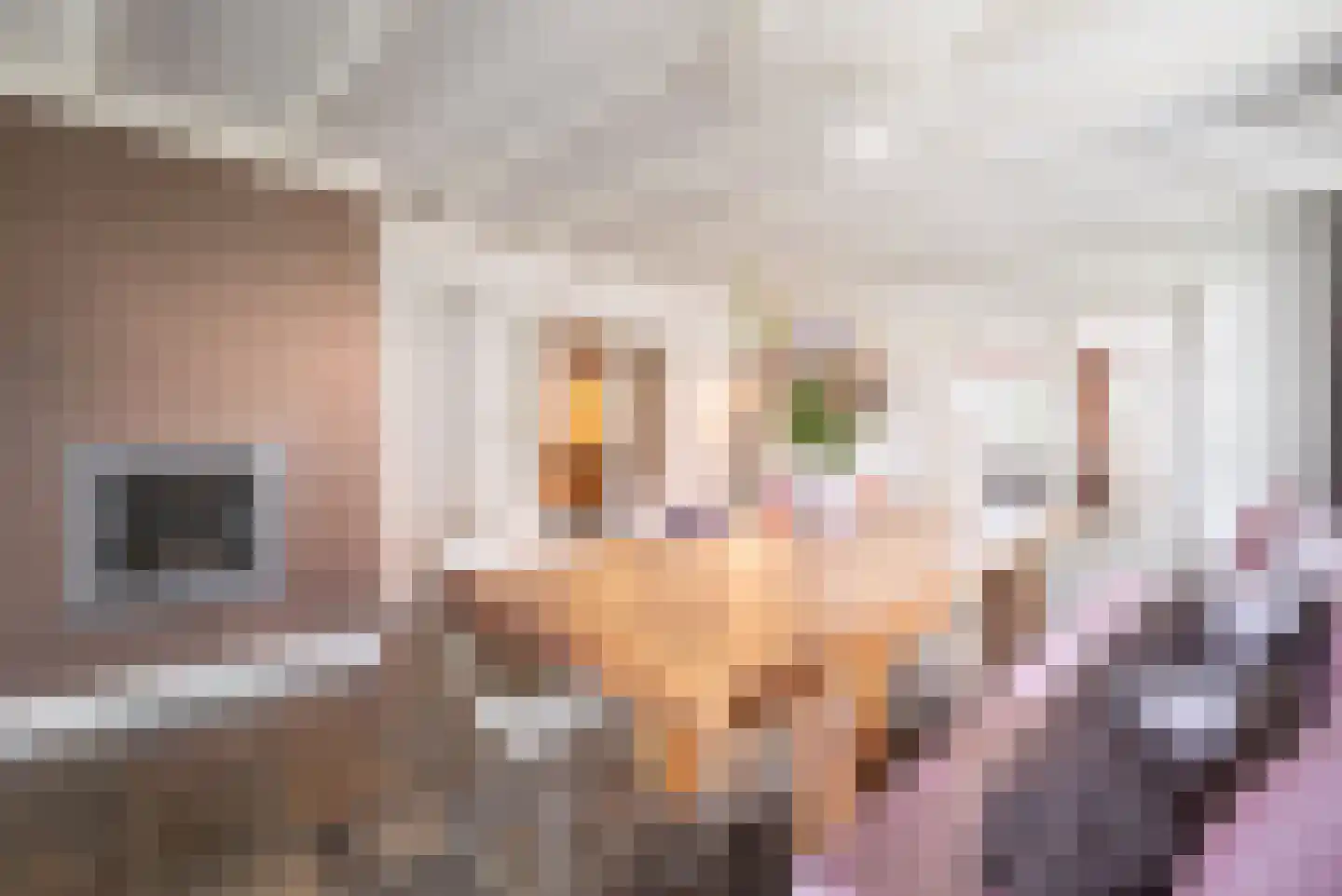 Haarsteegsestraat 95 Haarsteeg thumbnail 12