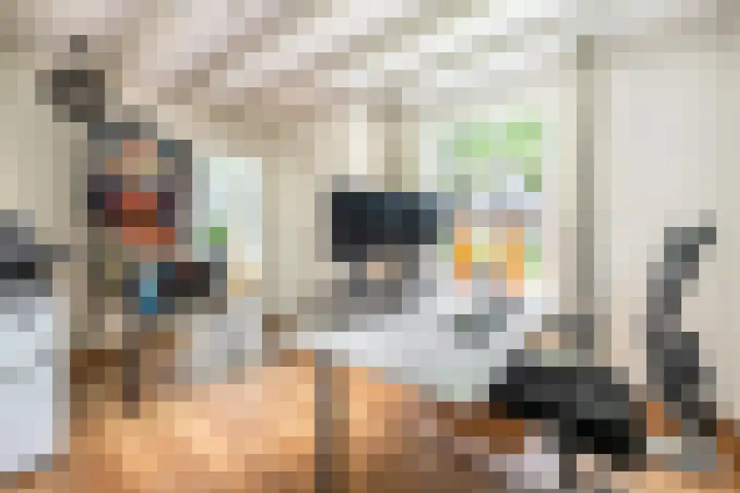 Haarsteegsestraat 95 Haarsteeg thumbnail 14