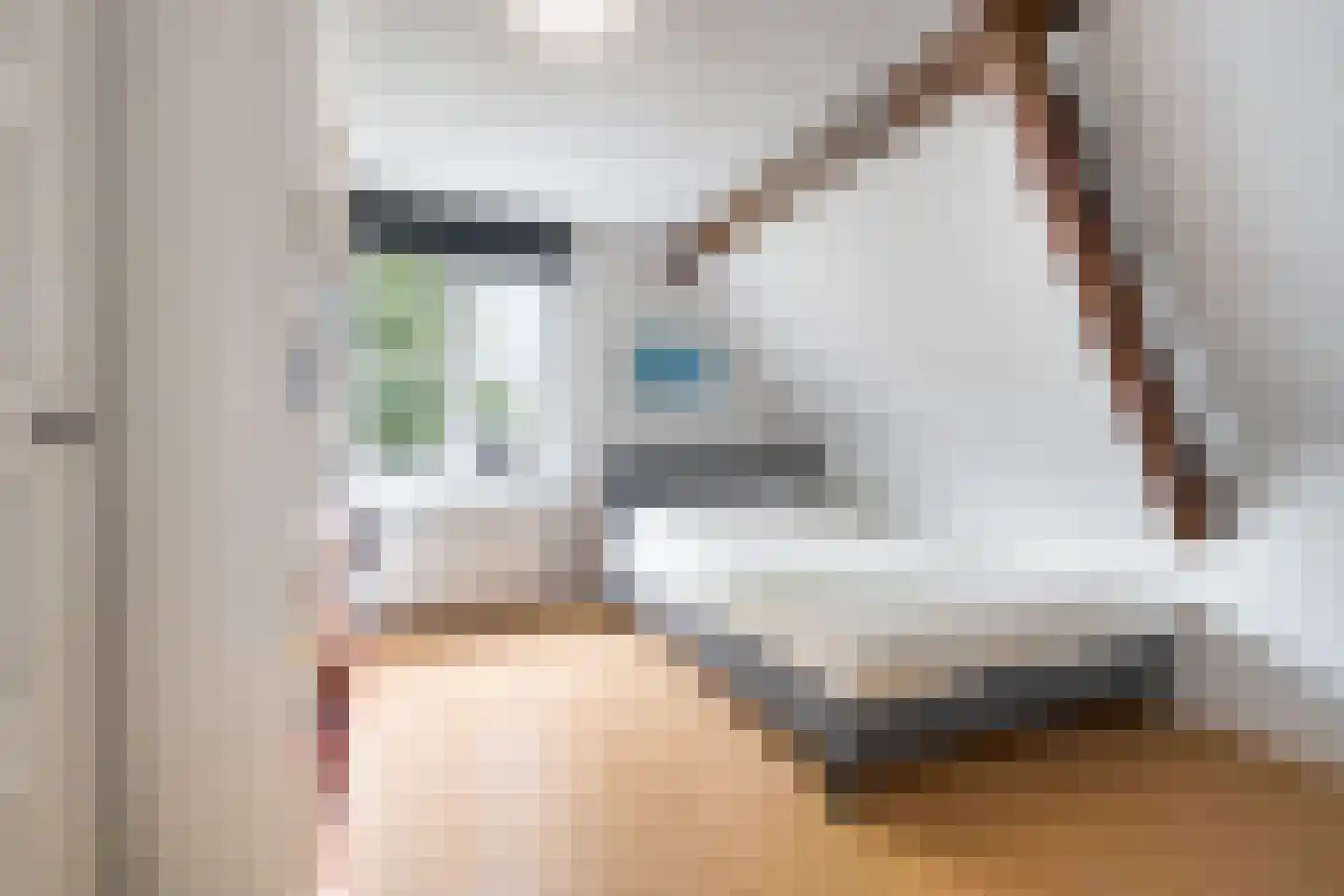 Haarsteegsestraat 95 Haarsteeg thumbnail 22