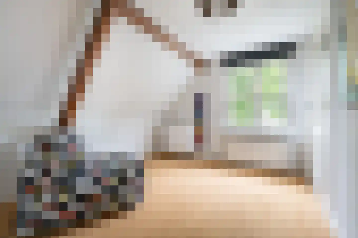 Haarsteegsestraat 95 Haarsteeg thumbnail 23