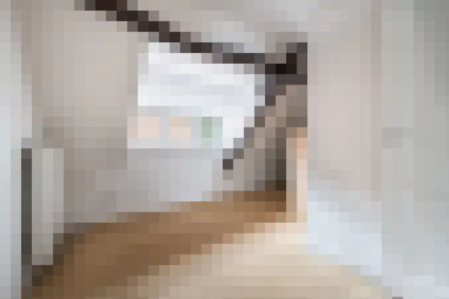 Haarsteegsestraat 95 Haarsteeg thumbnail 24