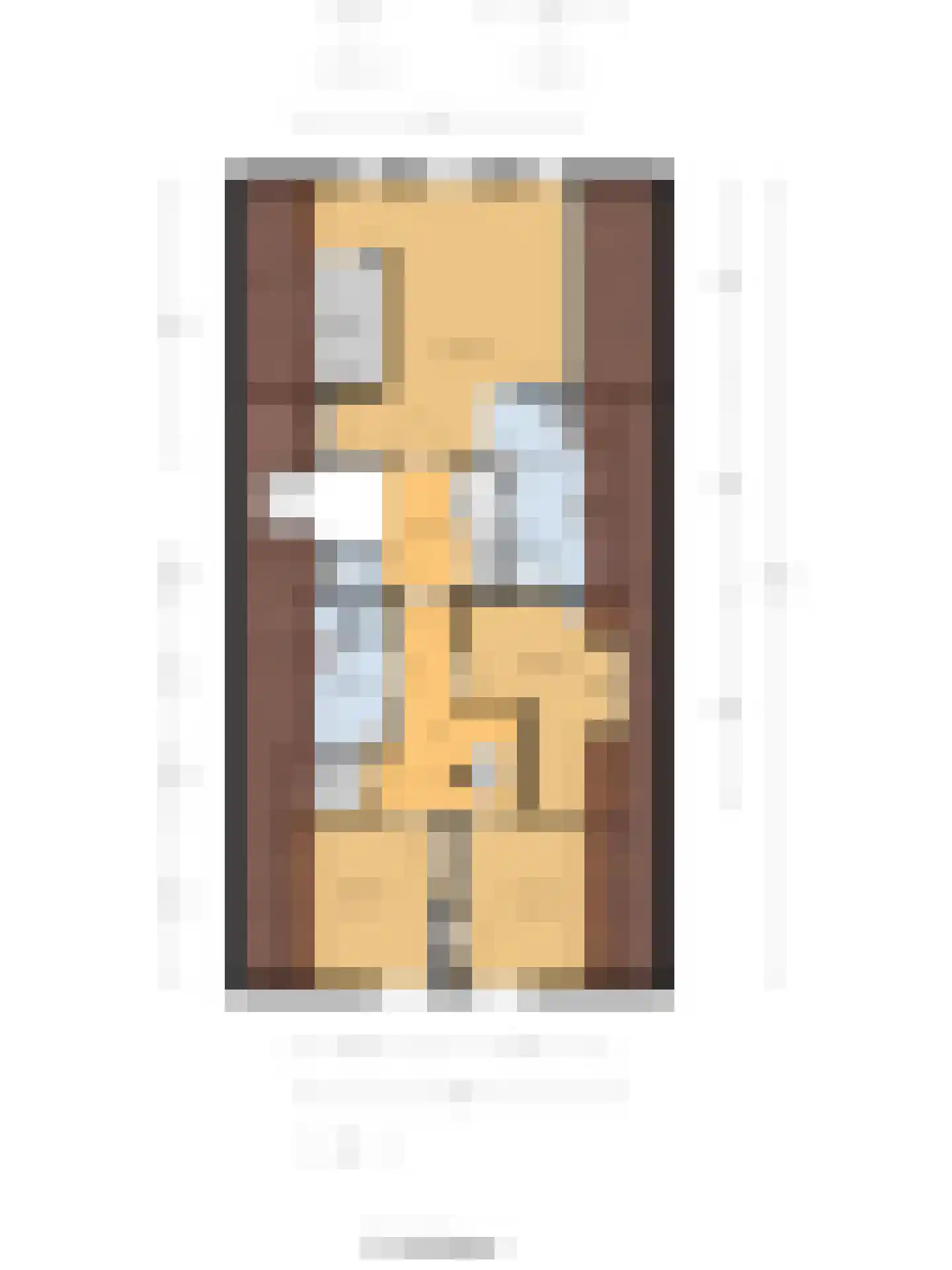 Haarsteegsestraat 95 Haarsteeg thumbnail 27
