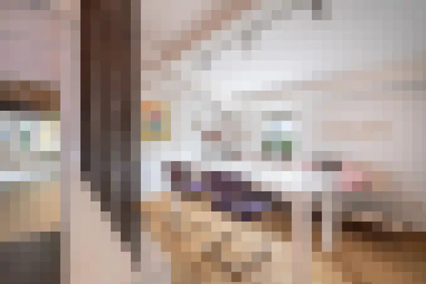 Haarsteegsestraat 95 Haarsteeg thumbnail 32