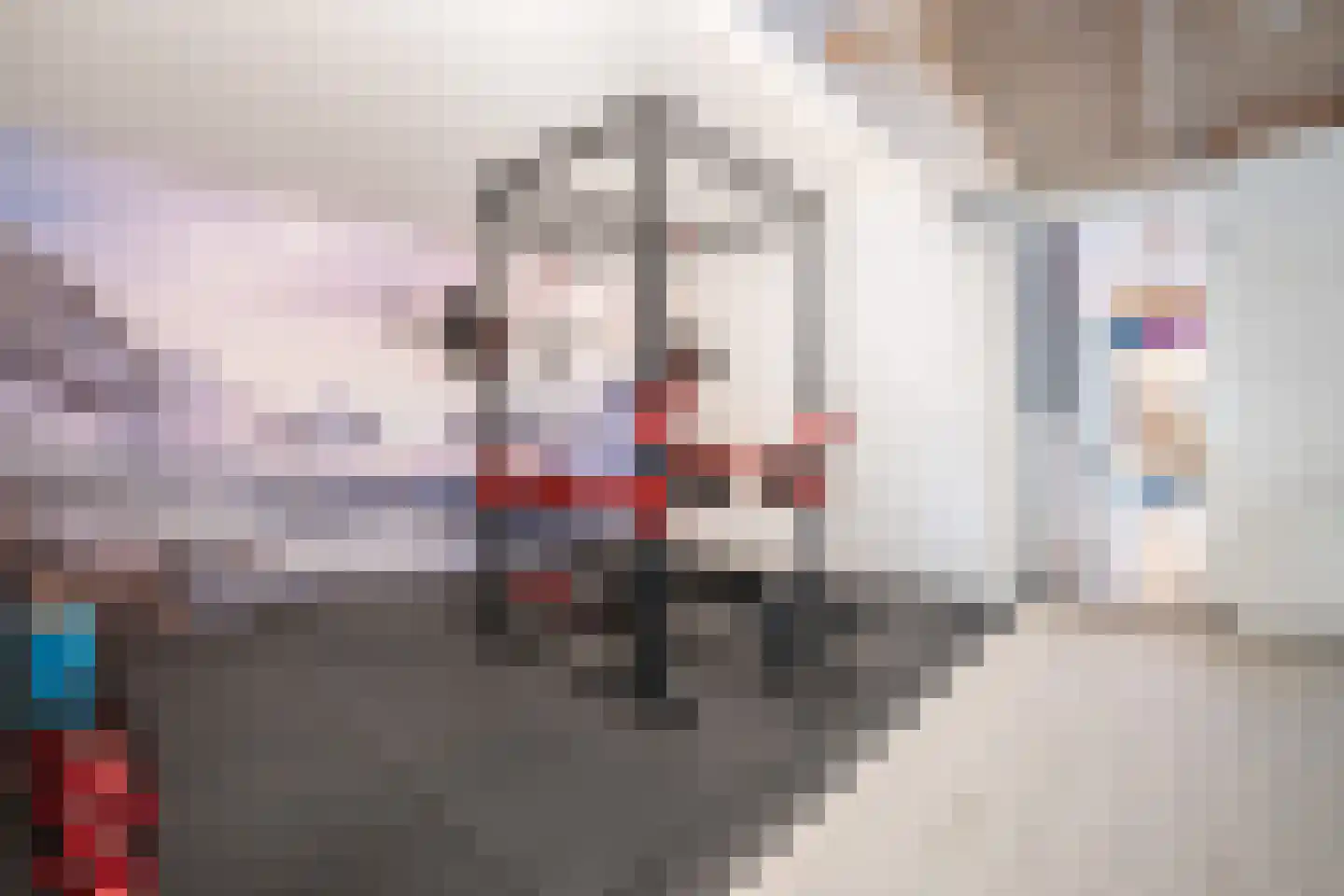 Haarsteegsestraat 95 Haarsteeg thumbnail 34