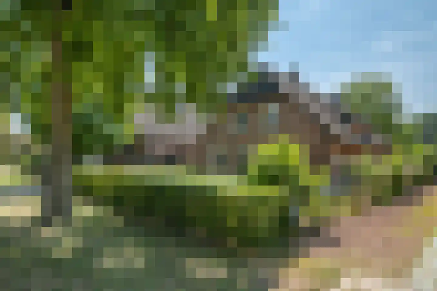 Haarsteegsestraat 95 Haarsteeg thumbnail 4