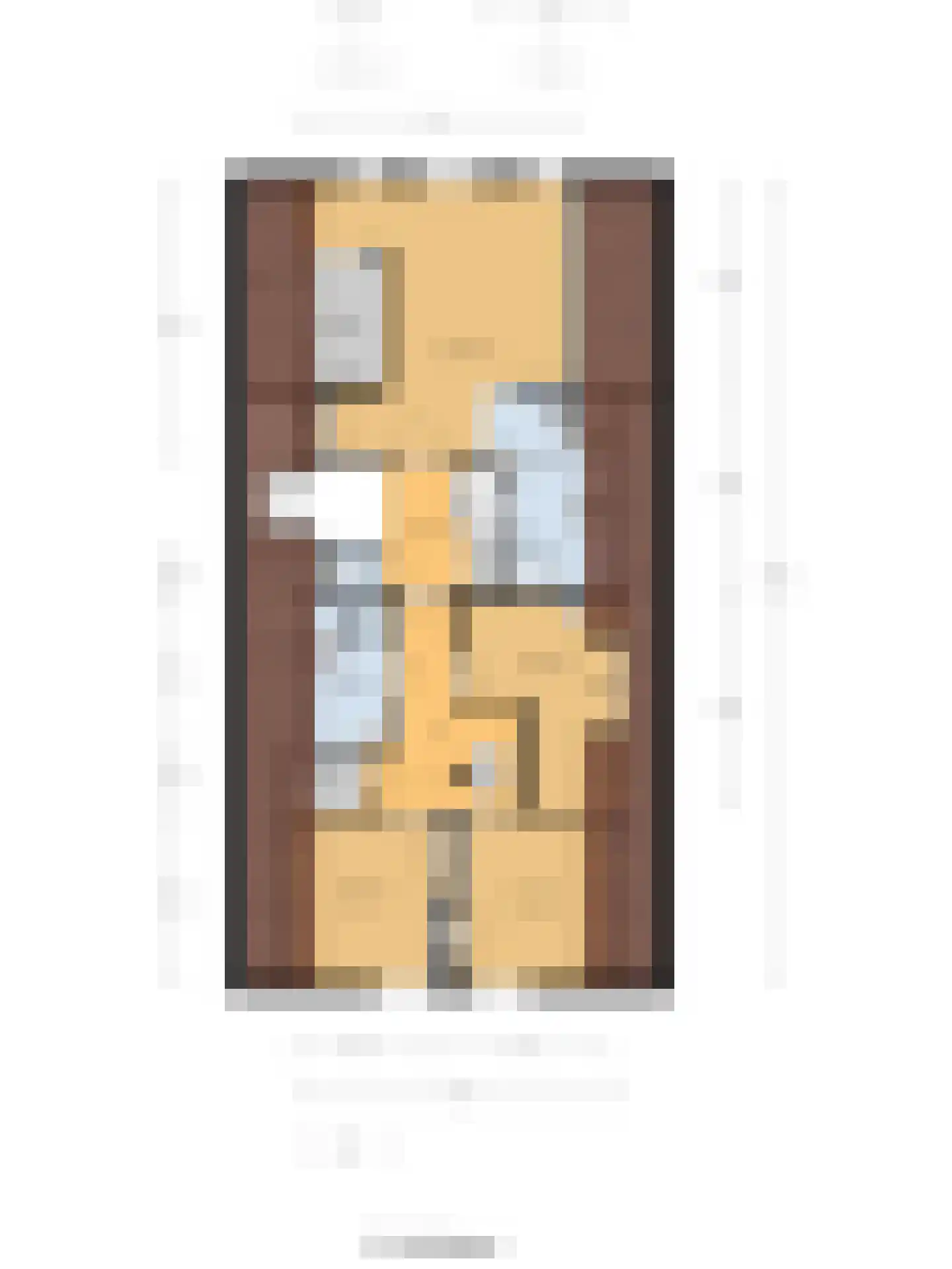 Haarsteegsestraat 95 Haarsteeg thumbnail 50